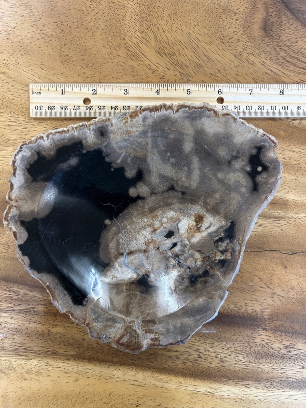 Petrified Wood Decorative Bowl - Picture 6 of 17